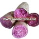 new crop chinese purple sweet potato