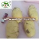 Fresh Holland potatoes 80 g - 150 g (mesh bags)