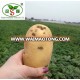 POTATO/FRESH POTATO 150g--250g